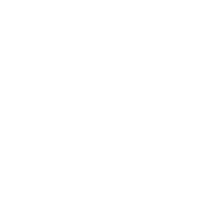 MET Logo Website (1)